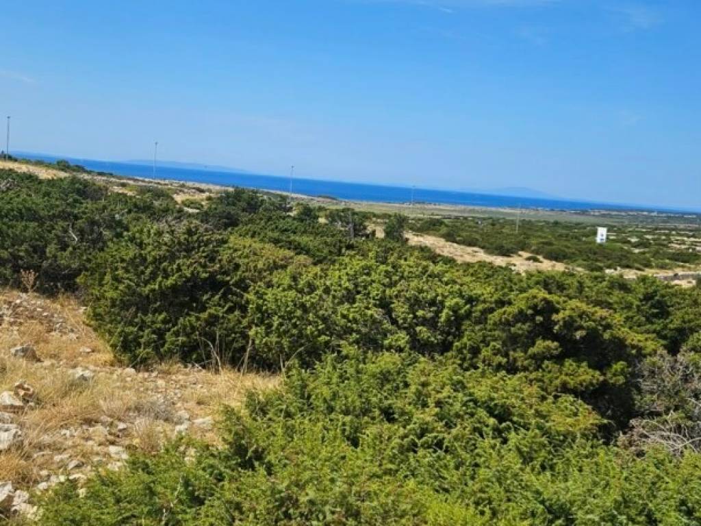 Pag, Pag