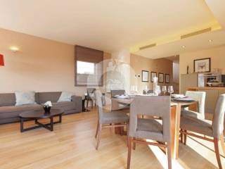 Villa, Sale, Poreč, Poreč