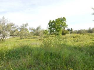Plot for construction, Sale, Poreč, Poreč
