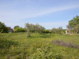 Plot for construction, Sale, Poreč, Poreč