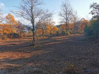 Plot for construction, Sale, Vižinada, Vižinada