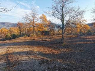 Plot for construction, Sale, Vižinada, Vižinada