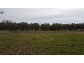 Land, Sale, Tar-Vabriga