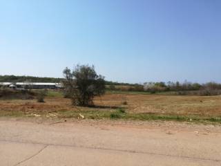 Agricultural plot, Sale, Kaštelir-Labinci, Labinci