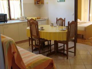 House with apartments, Sale, Novigrad, Novigrad