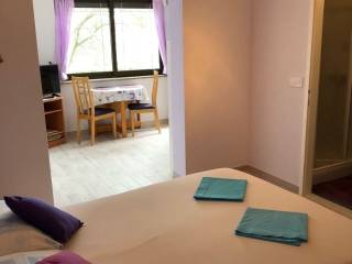 House with apartments, Sale, Novigrad, Novigrad