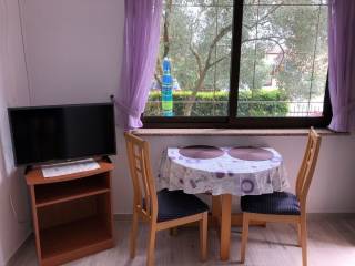 House with apartments, Sale, Novigrad, Novigrad