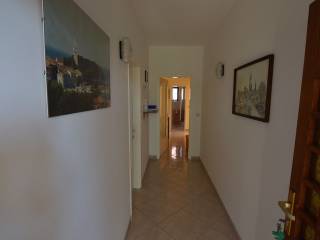 House with apartments, Sale, Novigrad, Novigrad