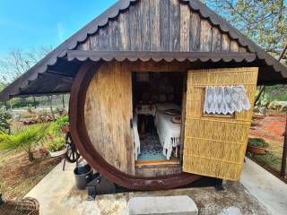 Stone house, Sale, Buje, Buje