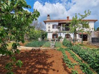 Stone house, Sale, Buje, Buje