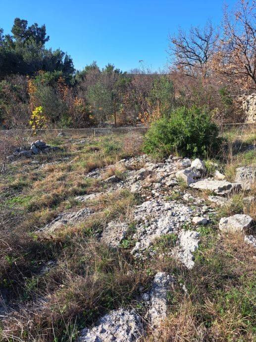 Gradjevinsko zemljiste, Prodaja, Jasenice, Maslenica