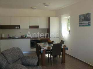 House with apartments, Sale, Privlaka, Privlaka