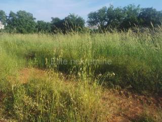 Plot for construction, Sale, Vodnjan, Galižana