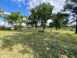Plot for construction, Sale, Barban, Manjadvorci