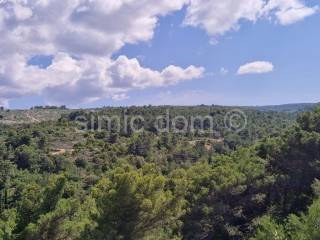 Agricultural plot, Sale, Supetar, Splitska