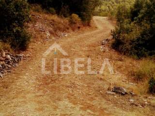 Agricultural plot, Sale, Jelsa, Jelsa