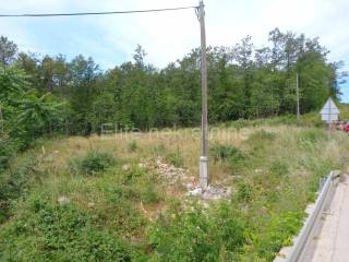 Agricultural plot, Rent, Matulji, Permani