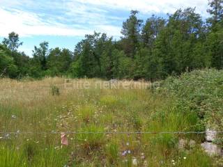 Agricultural plot, Rent, Matulji, Permani