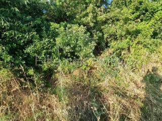 Plot for residential construction, Sale, Crikvenica, Crikvenica