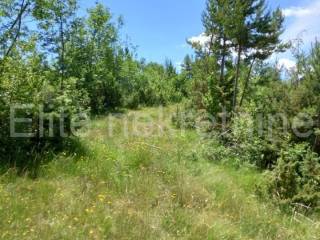 Agricultural plot, Rent, Matulji, Rupa