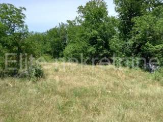 Agricultural plot, Rent, Matulji, Rupa