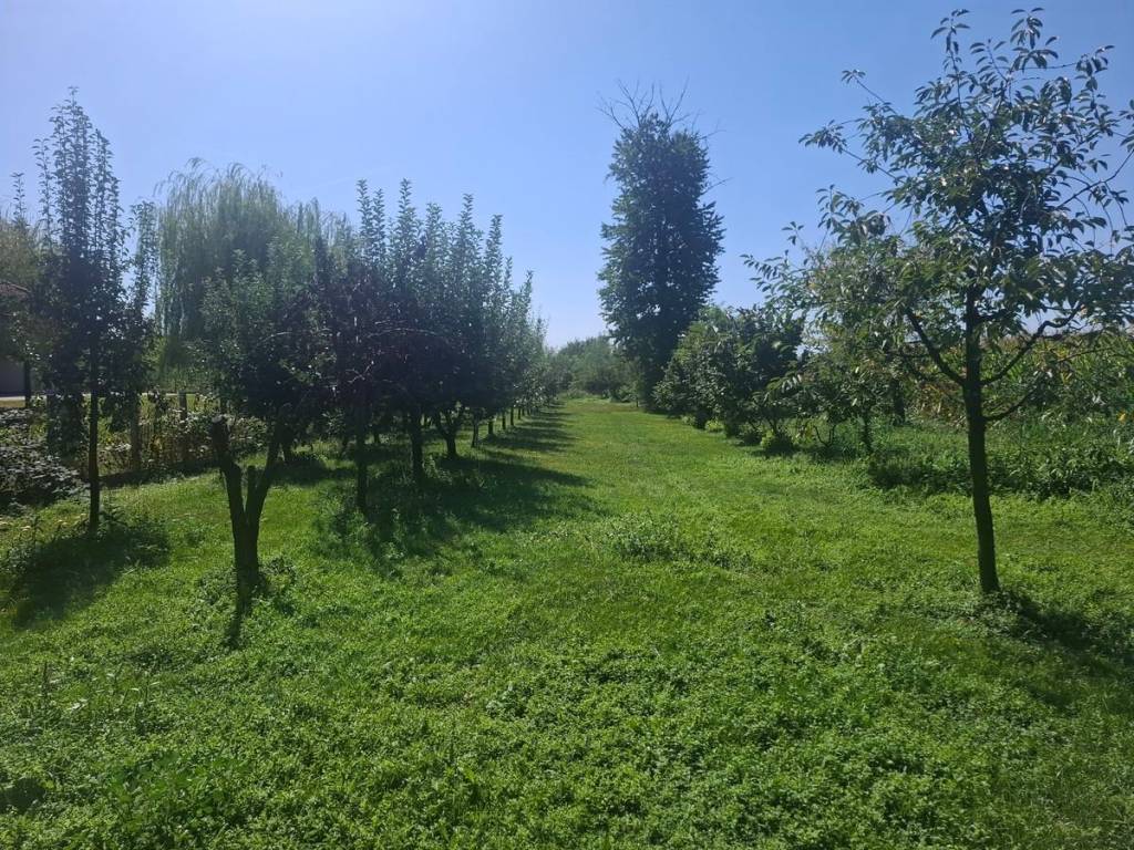 Cakovec - Okolica, Ivanovec