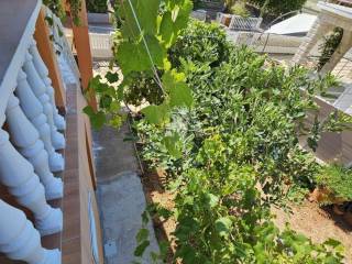 Detached house, Sale, Vir, Vir