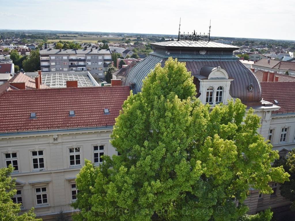 Bjelovar, Bjelovar