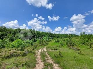 Plot for construction, Sale, Slunj, Slunj