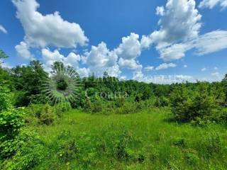 Plot for construction, Sale, Slunj, Slunj