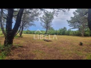 Agricultural plot, Sale, Vodnjan, Vodnjan