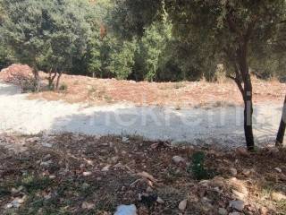 Samostojeca kuca, Prodaja, Marcana, Kavran