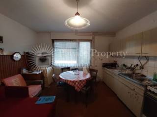 Family house, Sale, Karlovac, Karlovac