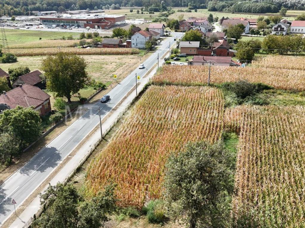 Bjelovar, Bjelovar