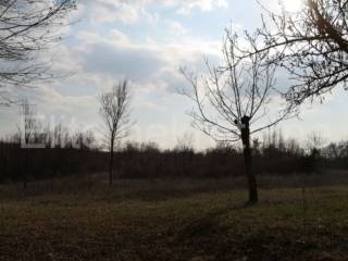Plot for construction, Sale, Žminj, Laginji