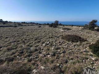Poljoprivredno zemljiste, Prodaja, Vir, Vir