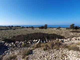 Poljoprivredno zemljiste, Prodaja, Vir, Vir
