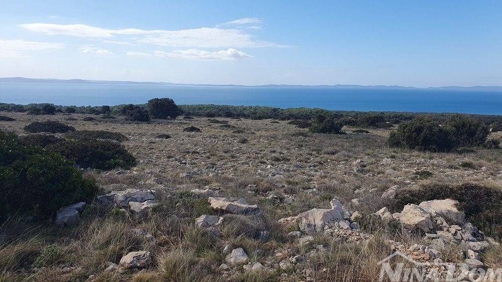 Poljoprivredno zemljiste, Prodaja, Vir, Vir