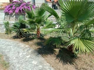 Detached house, Sale, Skradin, Skradin