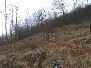 Construction plot for tourism, Sale, Opatija - Okolica, Veprinac