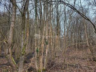 Land plot - other, Sale, Samobor - Okolica, Molvice