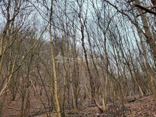 Land plot - other, Sale, Samobor - Okolica, Molvice