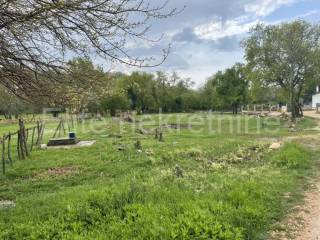 Plot for construction, Sale, Brtonigla, Brtonigla