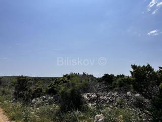 Agricultural plot, Sale, Pag, Pag