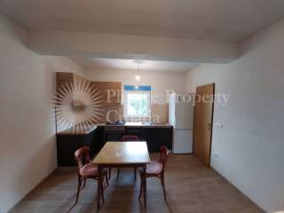Family house, Sale, Rakovica, Rakovica