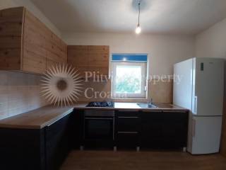 Family house, Sale, Rakovica, Rakovica