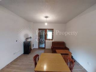 Family house, Sale, Rakovica, Rakovica