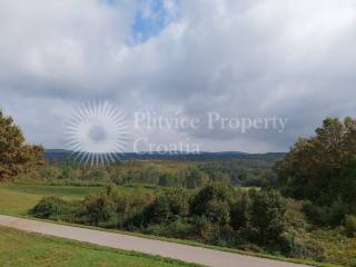 Family house, Sale, Rakovica, Rakovica