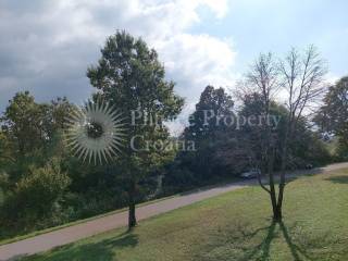 Family house, Sale, Rakovica, Rakovica