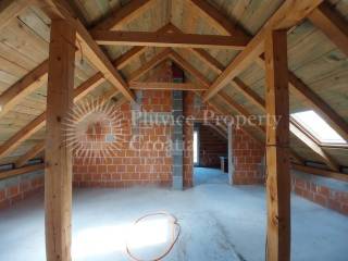 Family house, Sale, Rakovica, Rakovica